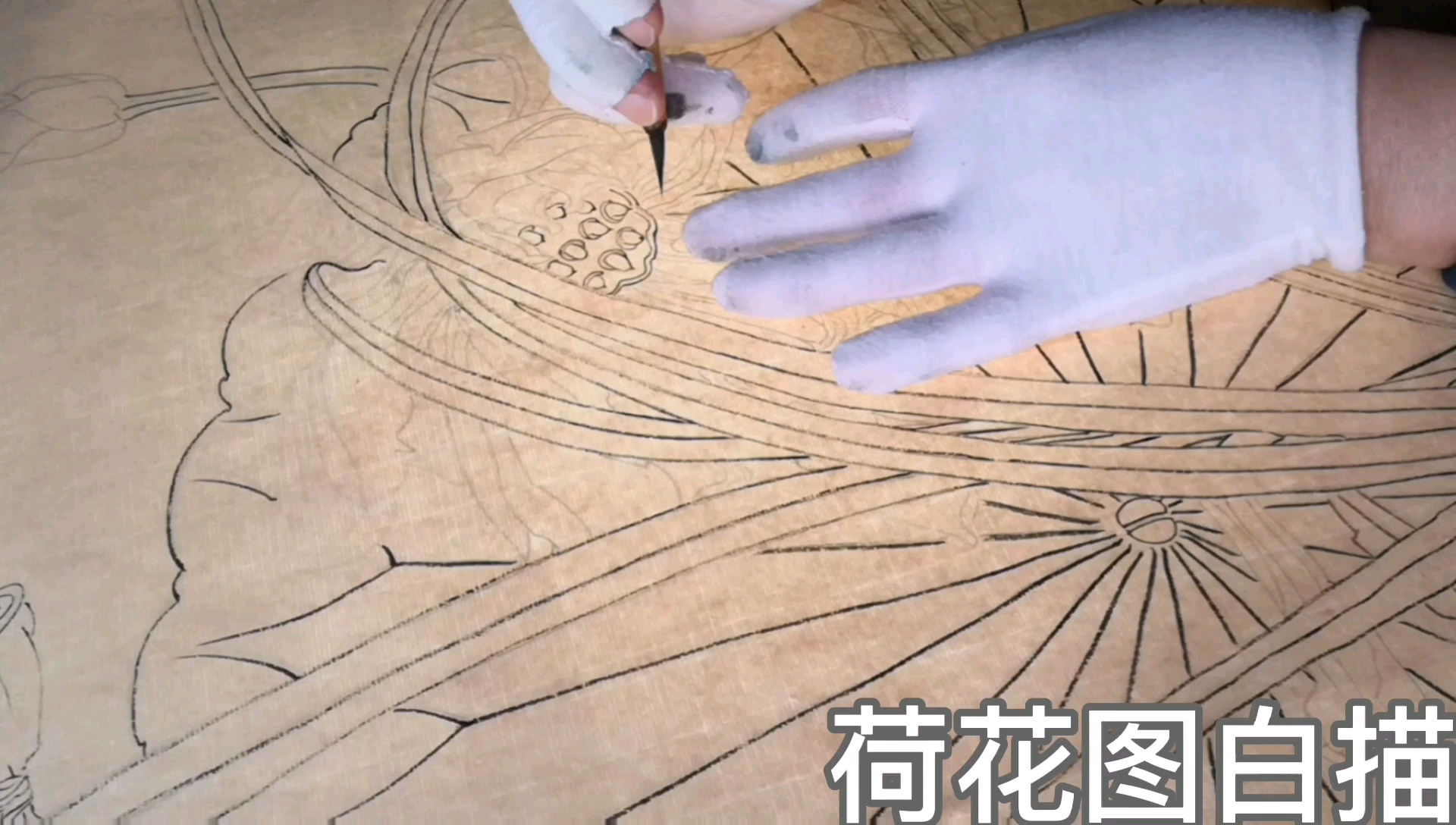 工笔画荷花图白描墨分五色再画面上的体现