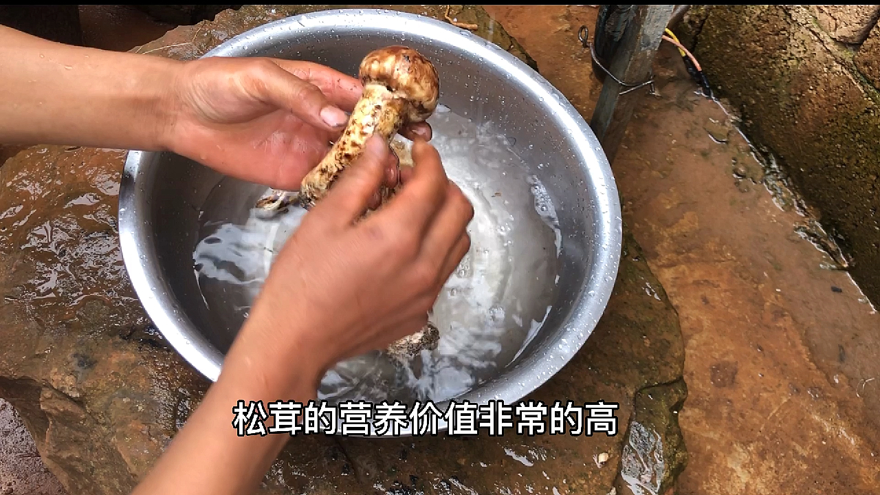 松茸蒸鸡蛋做法全部过程