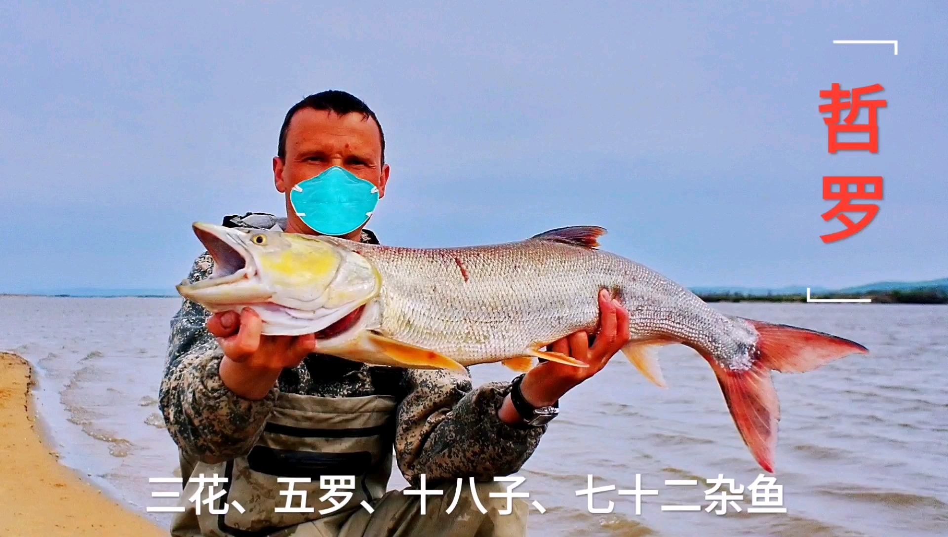 东北哲罗鲑——和三文鱼一样好吃的鲑鱼!新疆的水怪也是这种鱼!