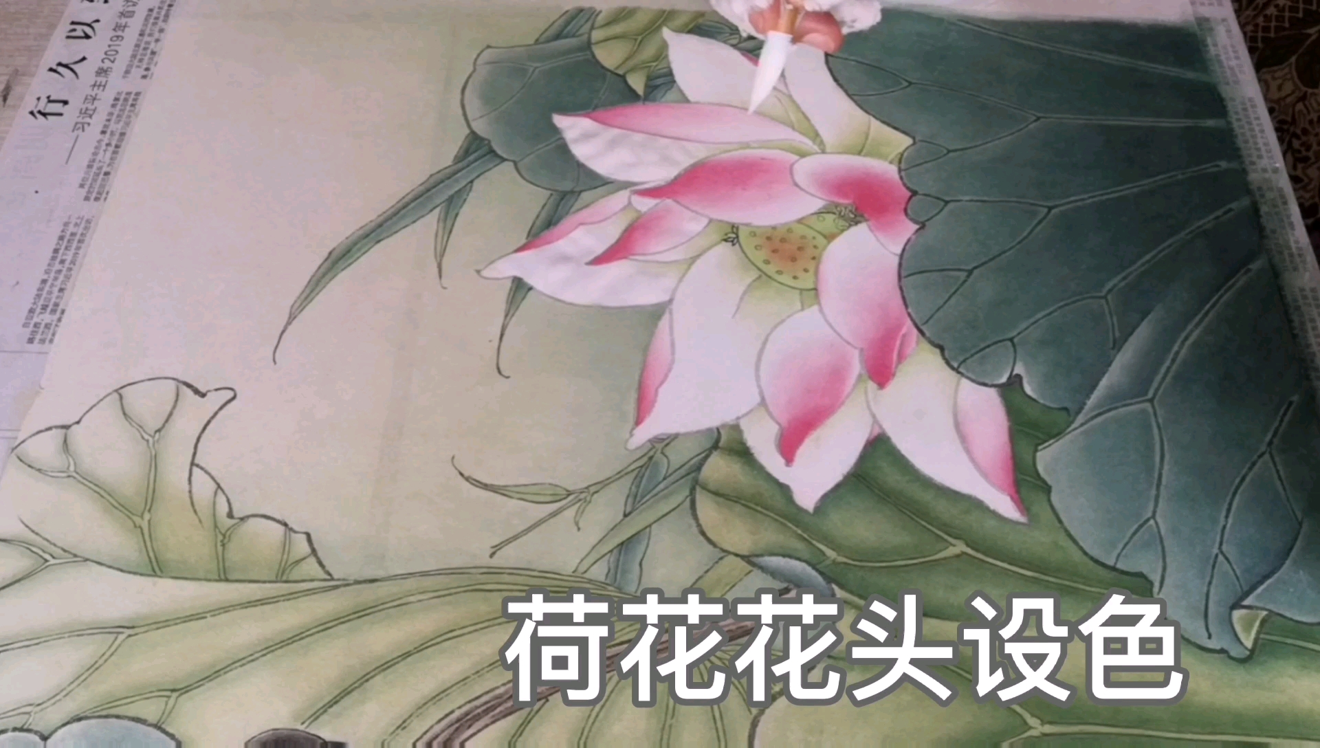 工笔画荷花花头提染