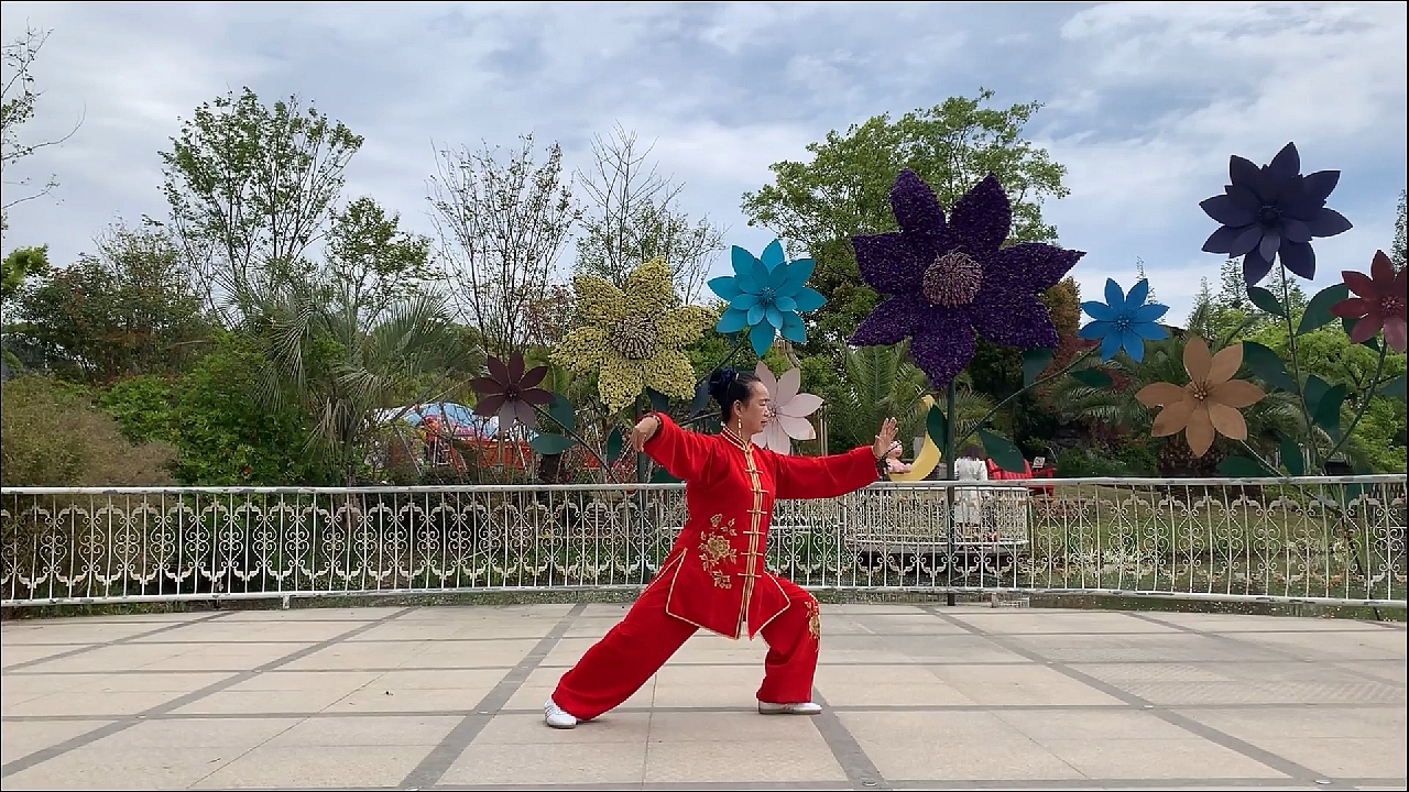 [图]传统杨式二十八太极拳(演练者上海王凤英)上海浦江镇“梦花园”