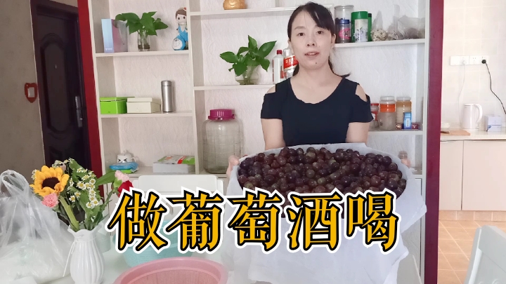 15斤葡萄4斤半冰糖,自己酿葡萄酒,想喝的时候来一口,爽
