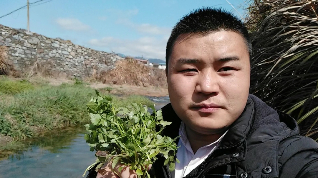 农村野芹菜,好吃还嫩,还有降血压功效