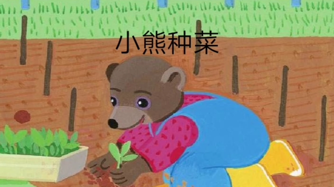 亲子故事  小熊种菜  小熊的白菜“变”大了,拔下来怎么又小了?