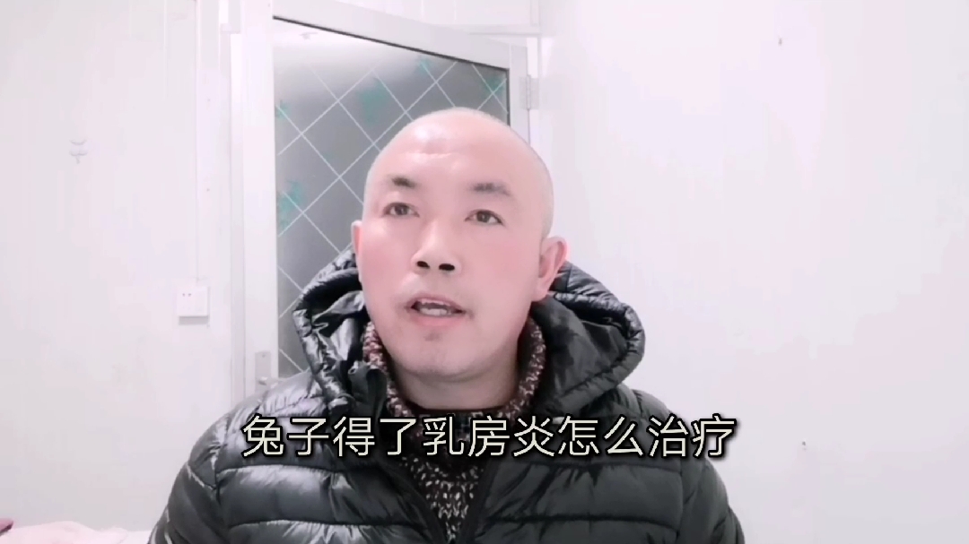 母兔得了乳房炎,该怎么治疗?这些方法你敢用吗