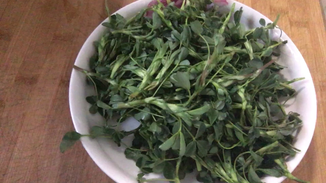 这种野菜竟然这么多的功效,今天才知道,不吃就晚了