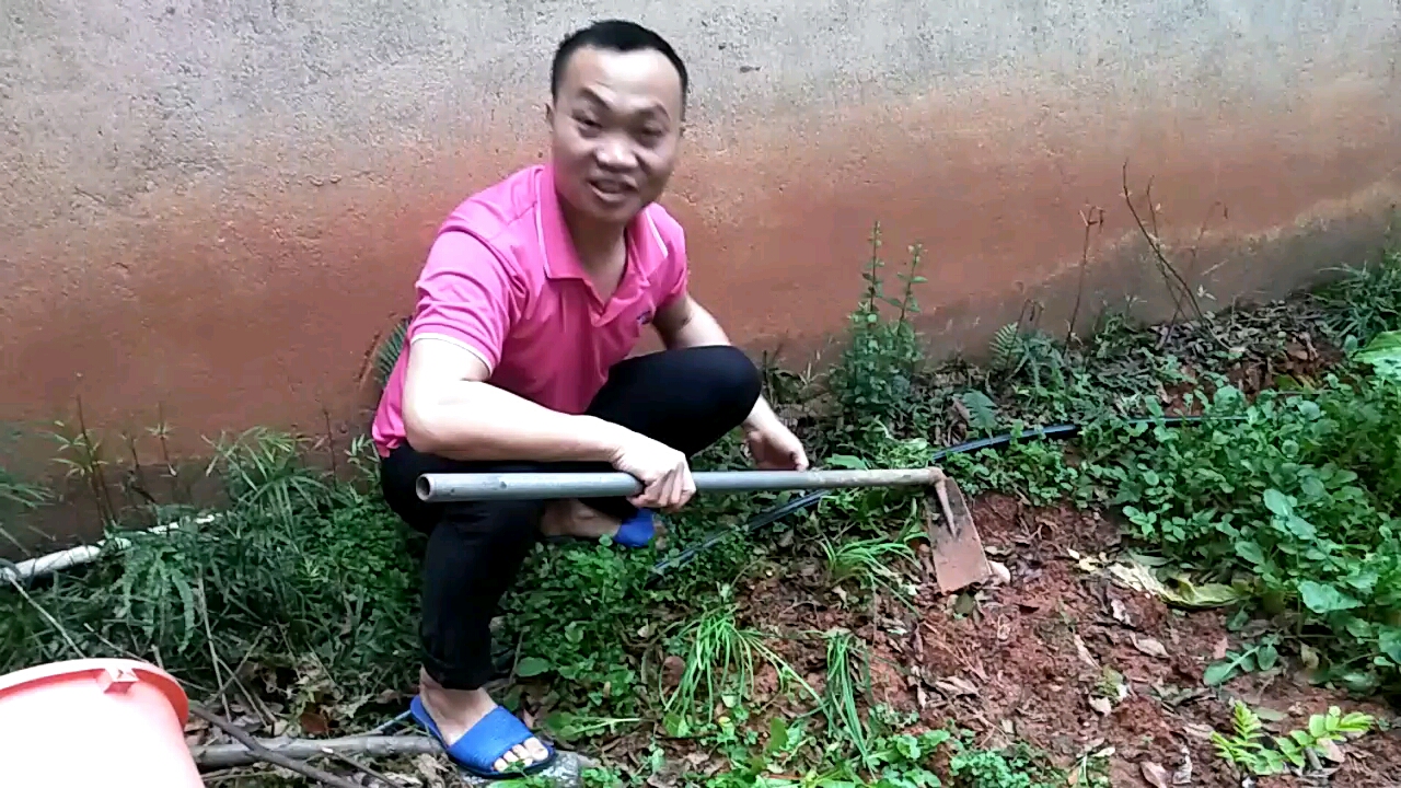 韭菜根  煲水喝的功效被证实