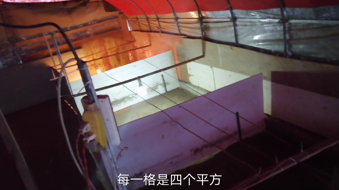 养鸡老粟准备进鸡苗了看看他的保温室是如何做的