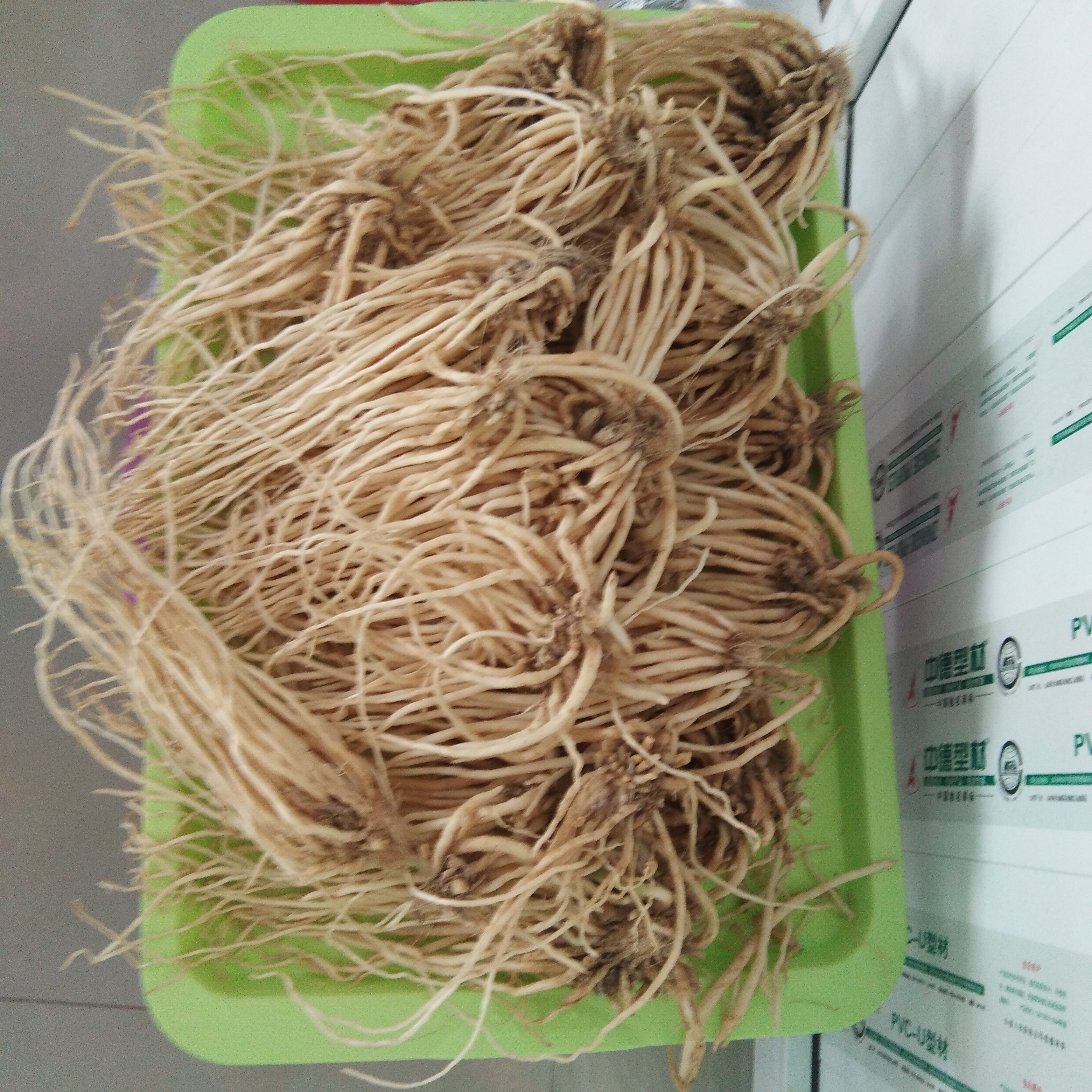 自制豆腐乳,加了苤菜根,特别香,猜猜这是什么地方的特产?