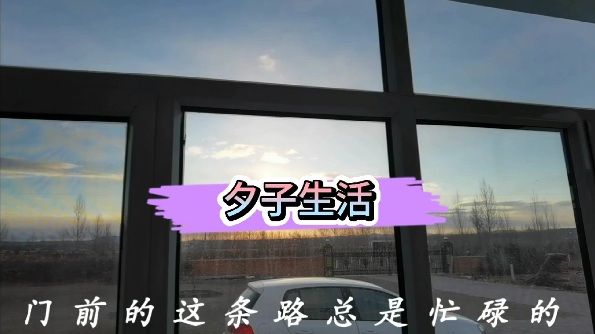 家常饭菜找这样搭,营养又健康,好吃不长肉!