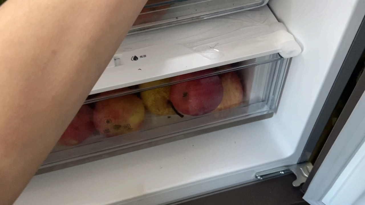 “天才”少女版西红柿熬茄子+葱爆羊肉