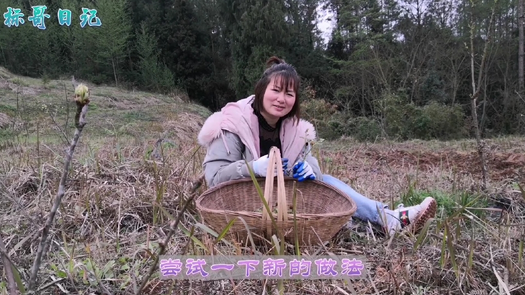农村漫山遍野都是蕨菜,媳妇只会其中一种做法,你还知道怎么做吗