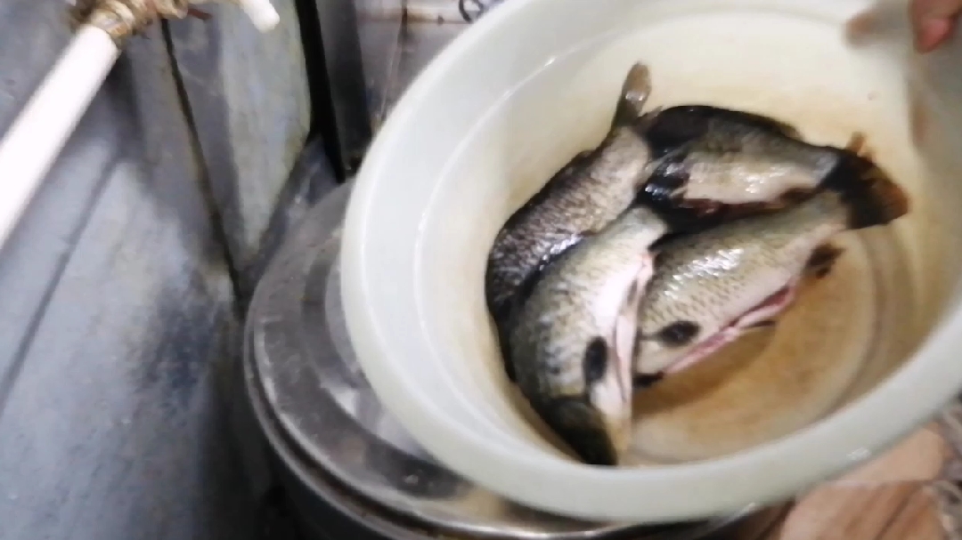 一斤猪肉等五斤大鲤鱼的价格,看看草鱼鲤鱼鲫鱼鲶鱼有多便宜