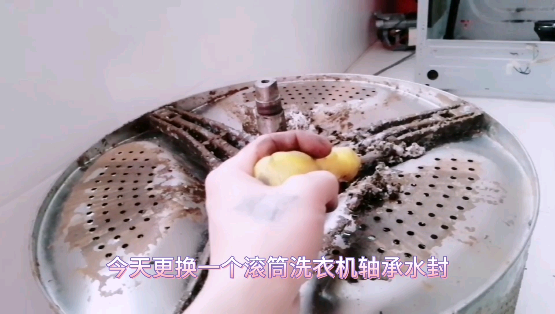 小天鹅滚筒洗衣机,如何更换轴承水封