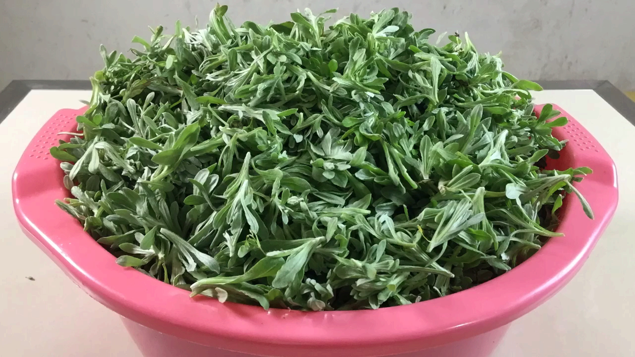 清明菜这样做,方法简单,香香糯糯太好吃了,出锅瞬间抢光,解馋