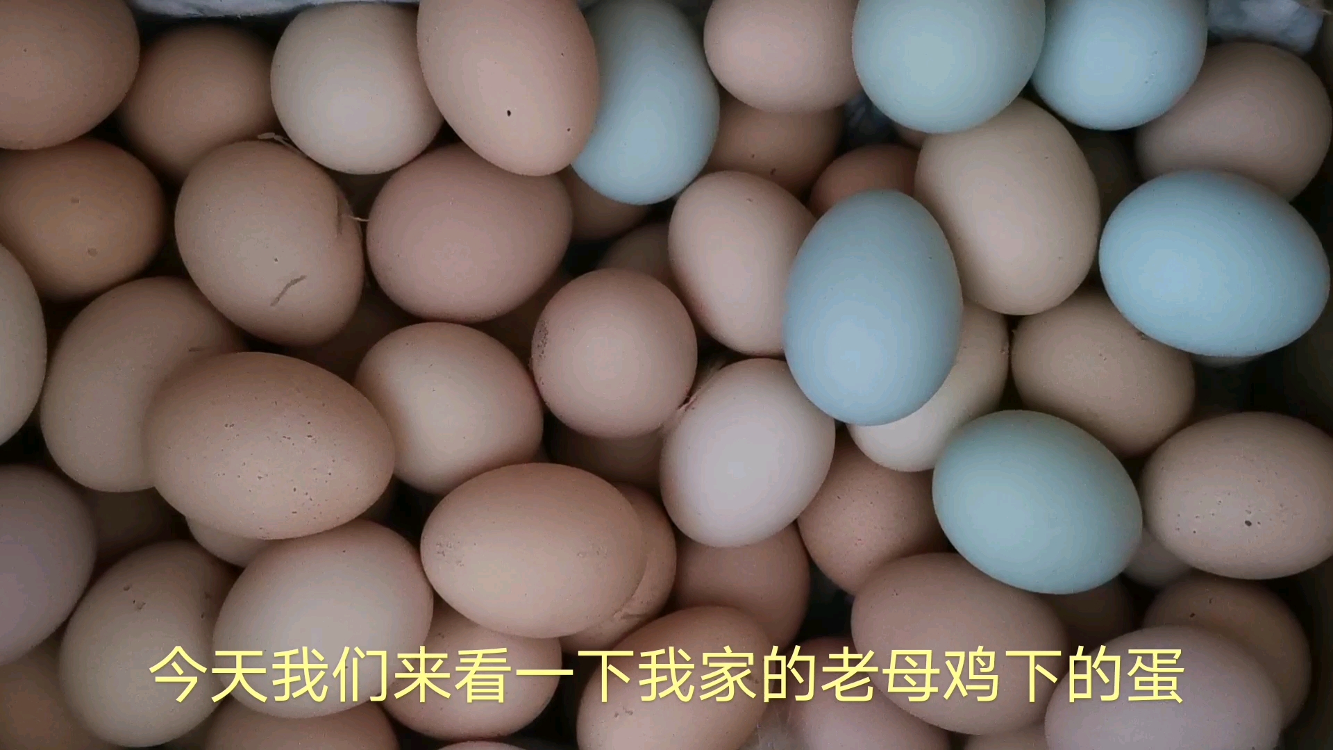自家土鸡和鸭下的蛋,纯天然绿色蛋,营养价值非常好