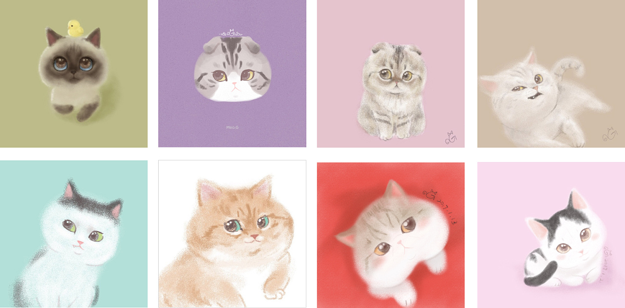猫咪图片  可爱┉