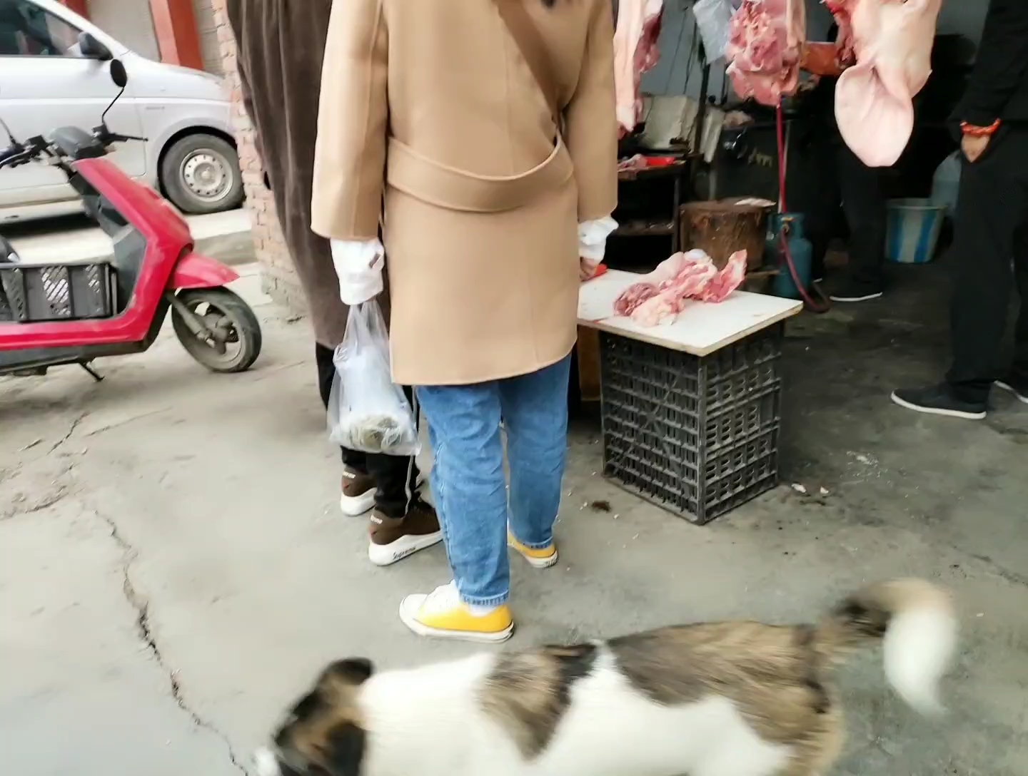 跟班狗,跟到去买肉