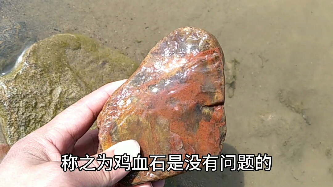 通过过对比告诉你,什么样的石头是真正的鸡血石