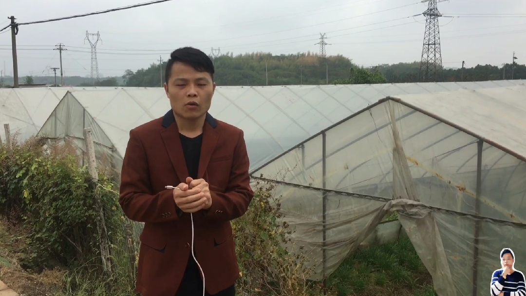 蔬菜基地老板跑路,200万投资项目废弃,现场看看种些什么