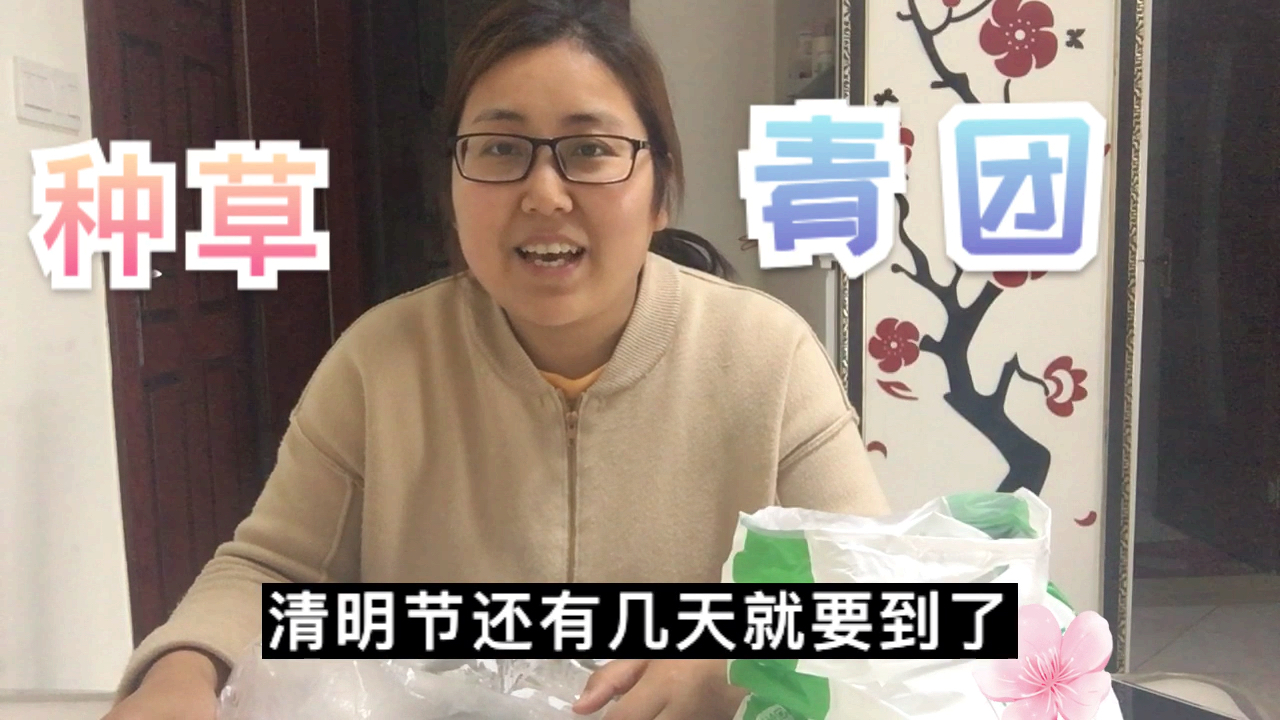 两家品牌青团大评测,单价都是2块多一个,究竟哪种更好吃呢?