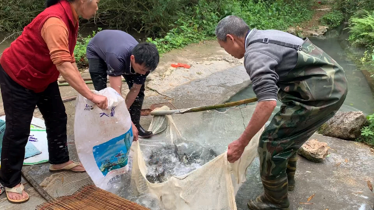 小伙用山泉水养鱼,非常有活力,看着都想多买几条