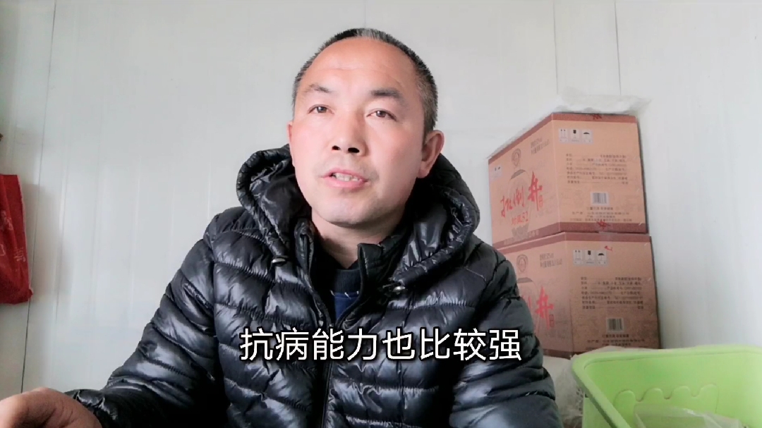 想养兔子,可以根据每种兔子的特点来选择,听听老手说的