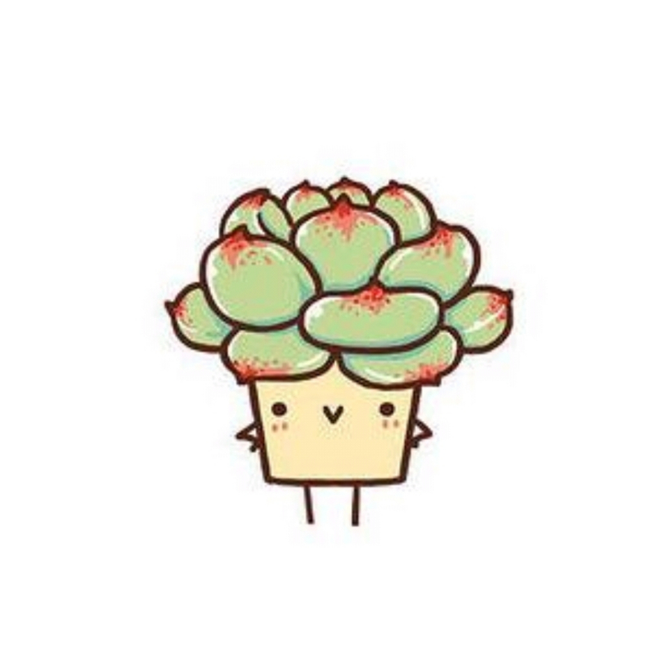 多肉头像集锦,好阔耐!