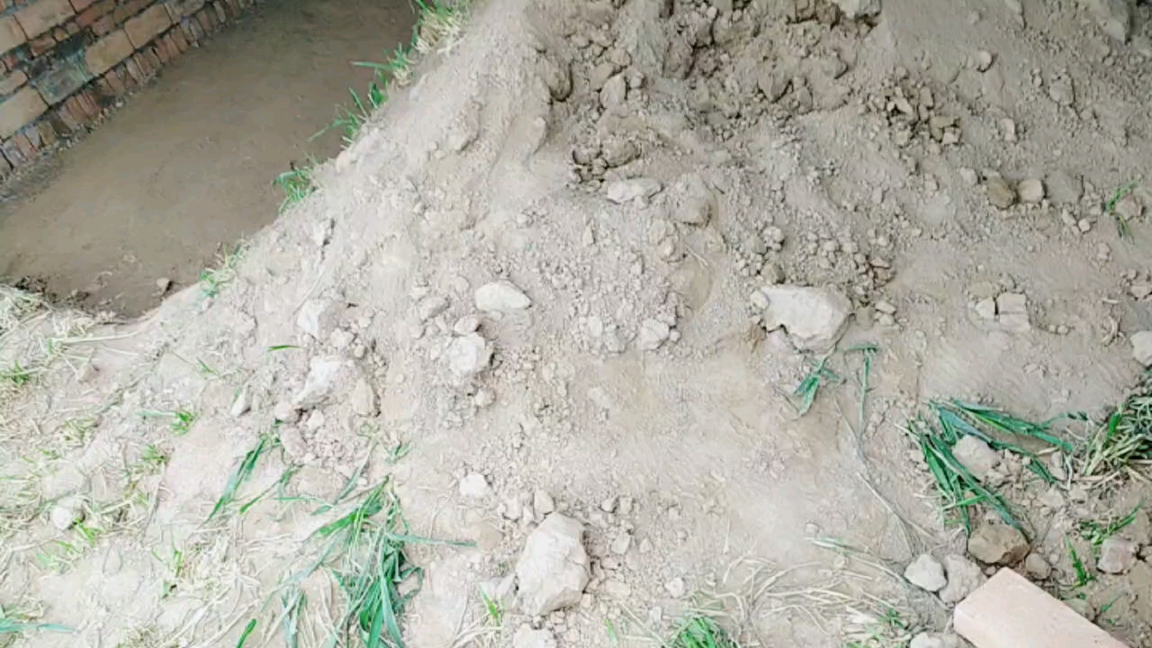 12米宽的蛋鸡养殖大棚,价格60一平方