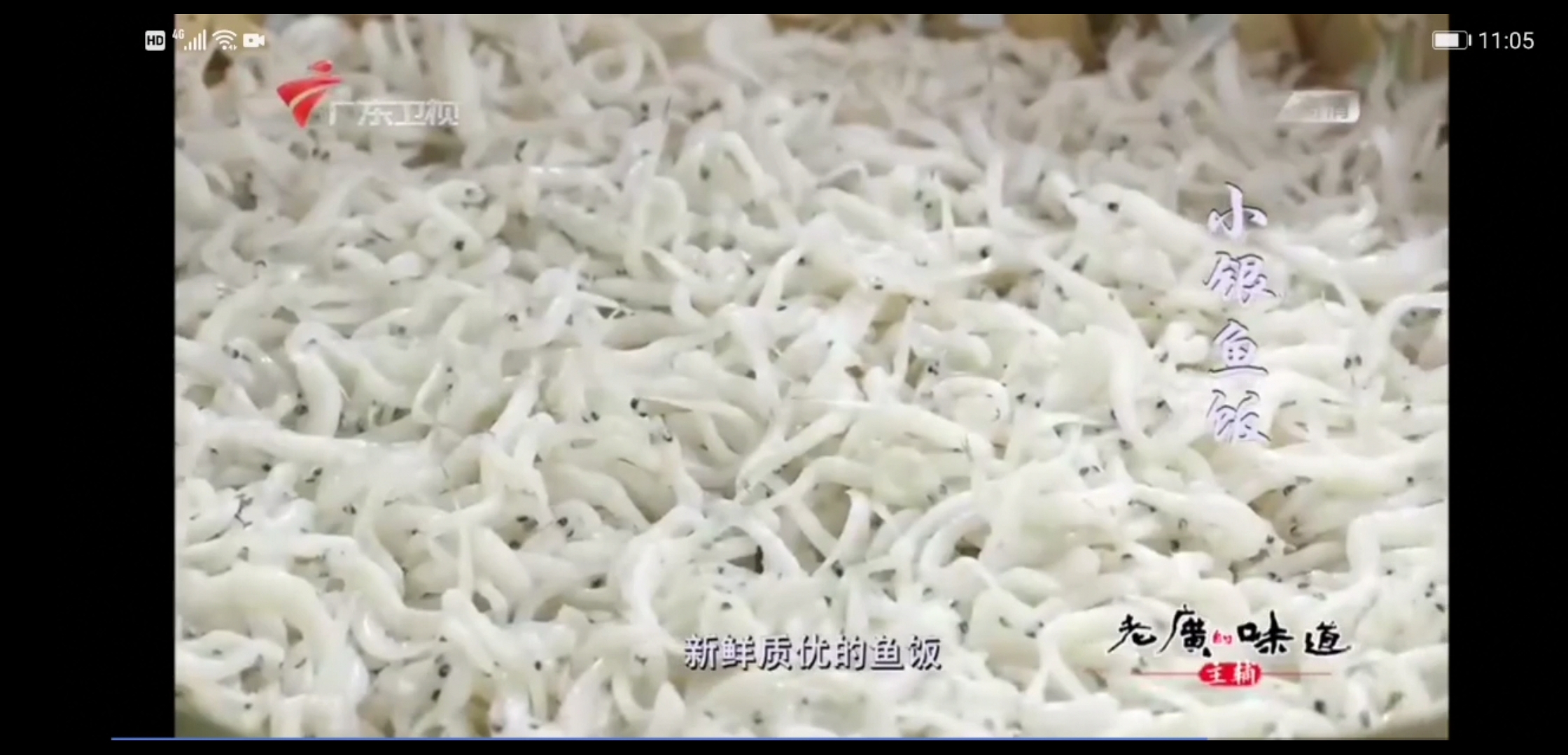 鱼饭就你做的好吃