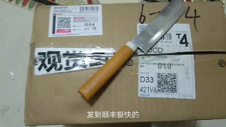 开箱几条观赏鱼,下缸的那一刻有点搞笑