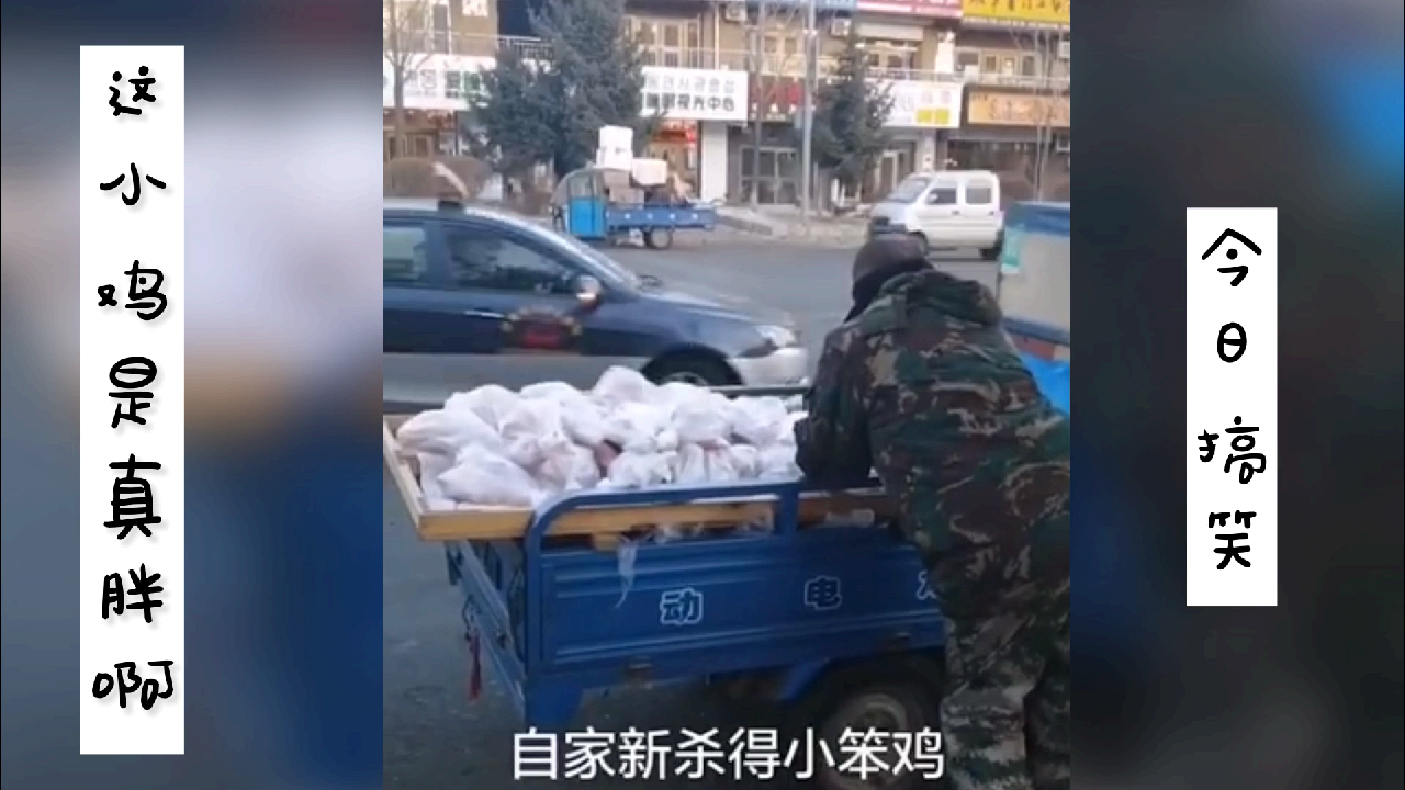 方言叫卖让人印象深刻,哈哈哈这一个个都是相声演员吧[允悲]