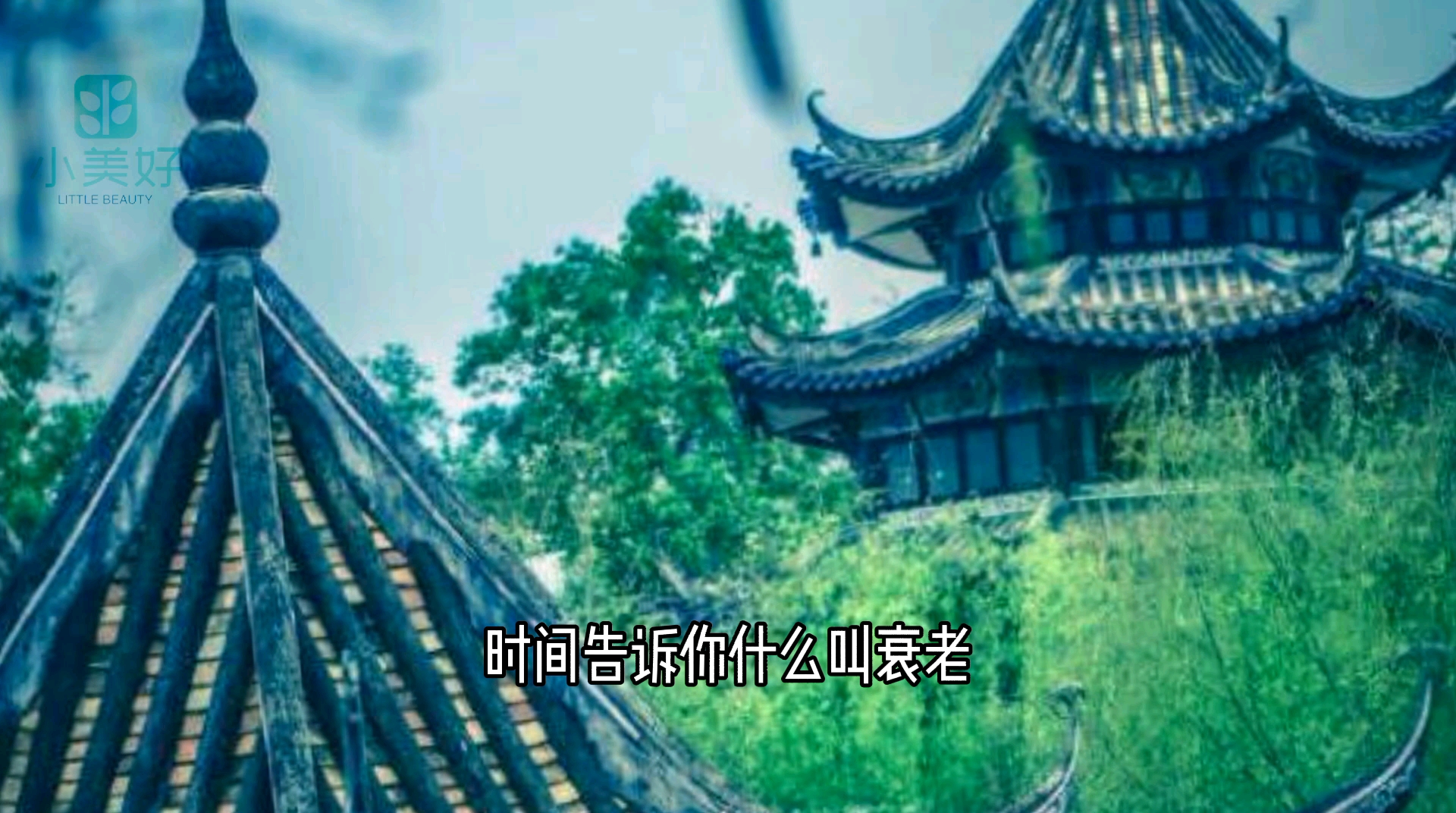 早安心语图片唯美文字正能量,每天都要加油鸭