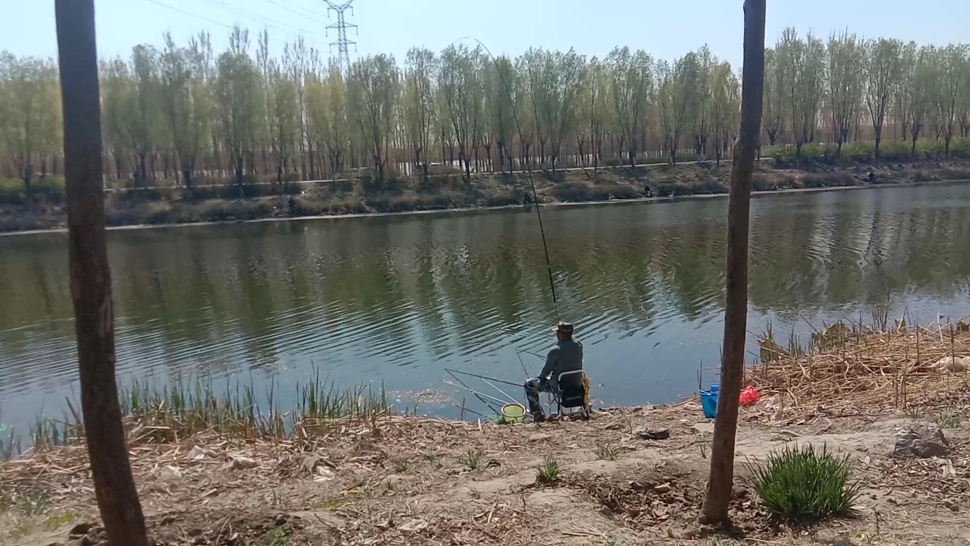 运河能免费钓鱼,爸爸的爱好也是钓鱼,他的技术棒棒的