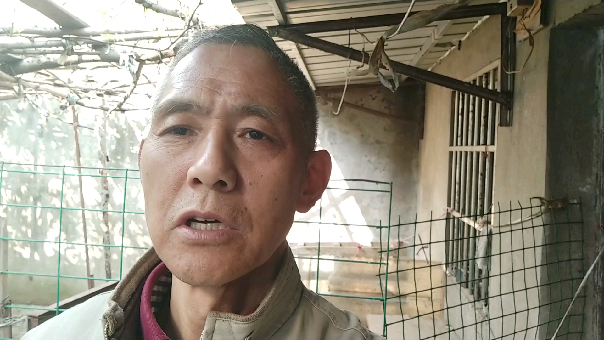 我今天拣鸭蛋时,发现了鸭蛋为何会比鸡蛋贵一倍的主要原因