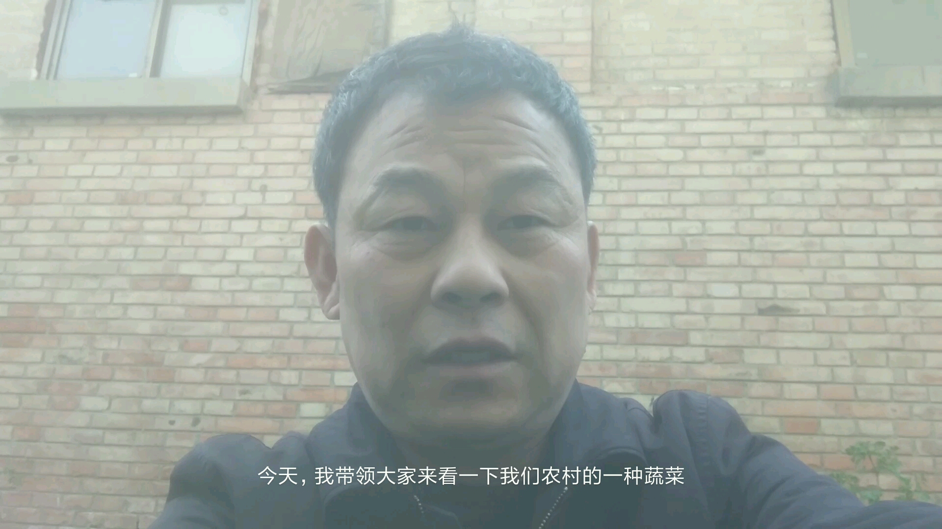 香菜的基本特性和生长环境