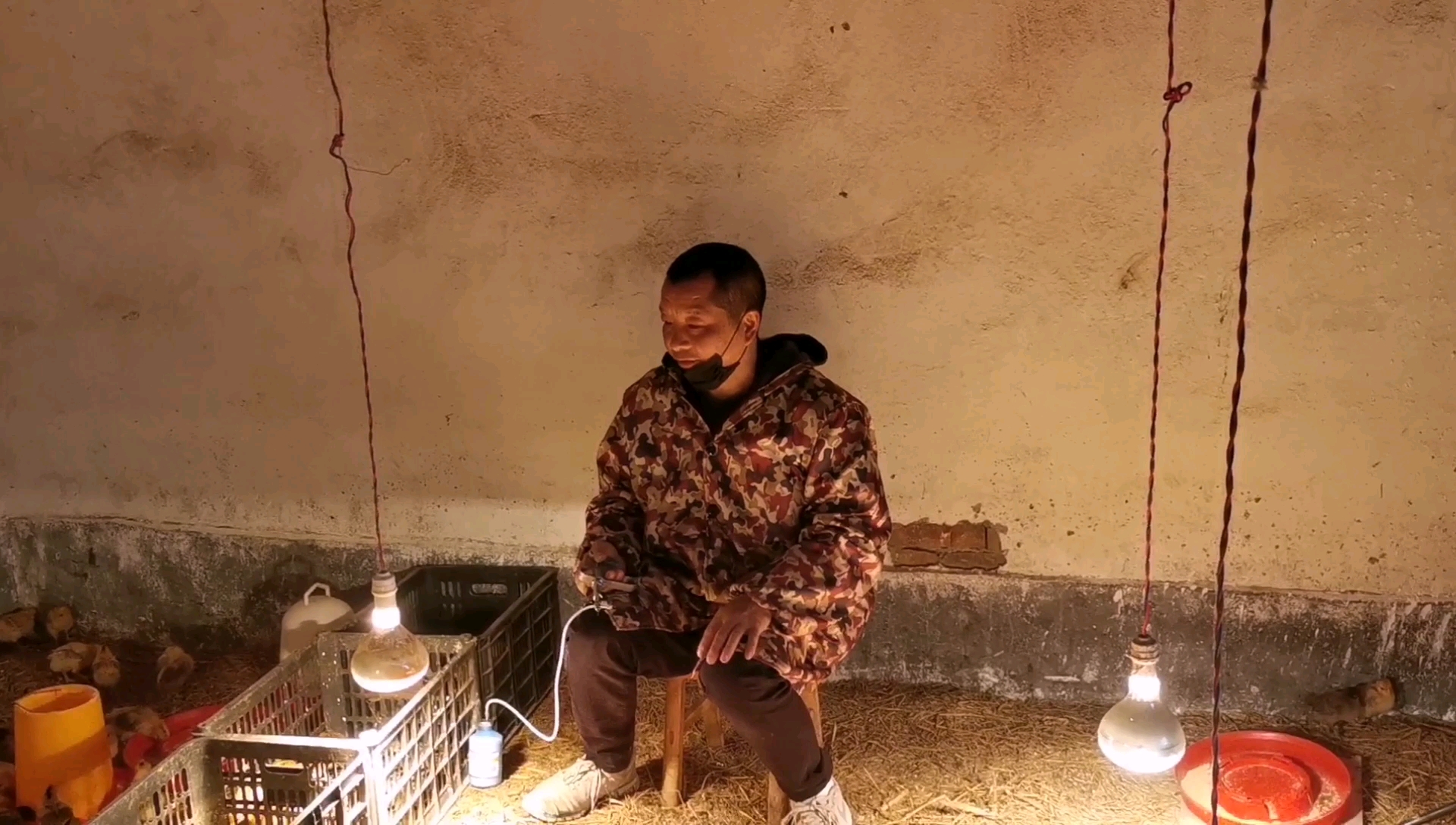 水姐给小鸡打针做疫苗,一只鸡打了三四次都不成功,真可怜的小鸡