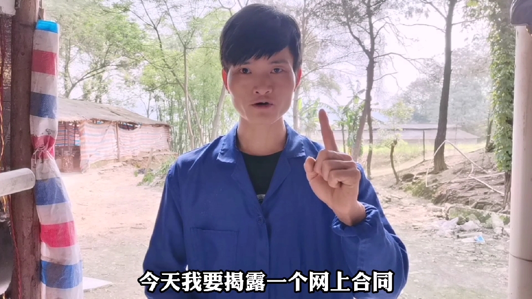 李师兄今天要揭露一个网上合同养鸡的套路!