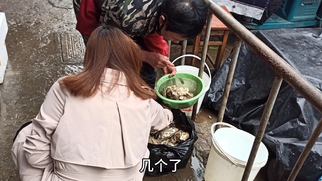 美女今天请吃生蚝 鲍鱼 有美人相伴又有美酒下肚,一口一个真过瘾