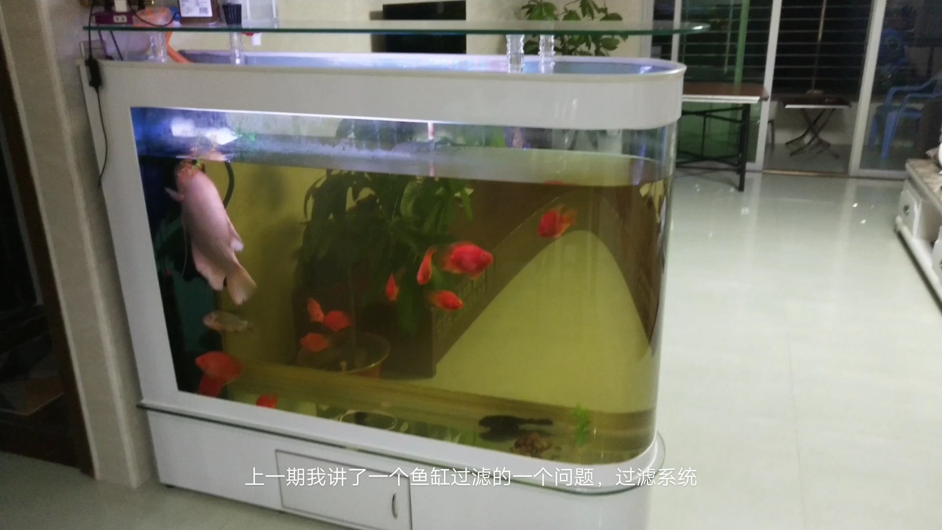 谈空气鱼缸的打造-鱼品种选择及饲养密度