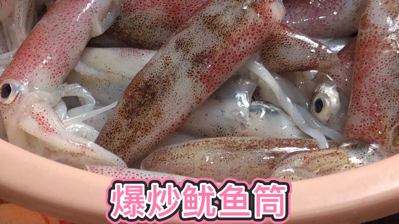 巜爆炒新鲜鱿鱼筒》连默汁都吃鲜甜美味又香,肉质非常坚韧!