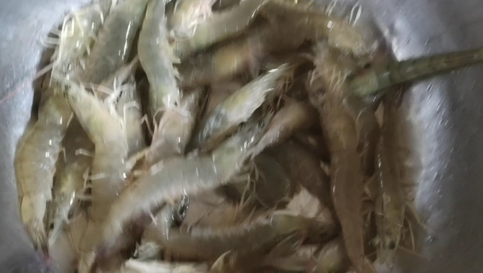 别样的红焖大虾,味道超级棒!出锅一盆都不够吃!