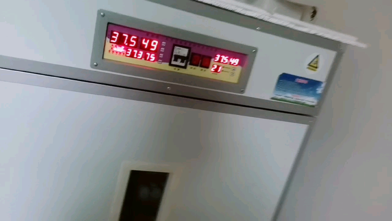 今天有空又做了两个鸡笼,多了几个笼子笼子以后育雏方便些