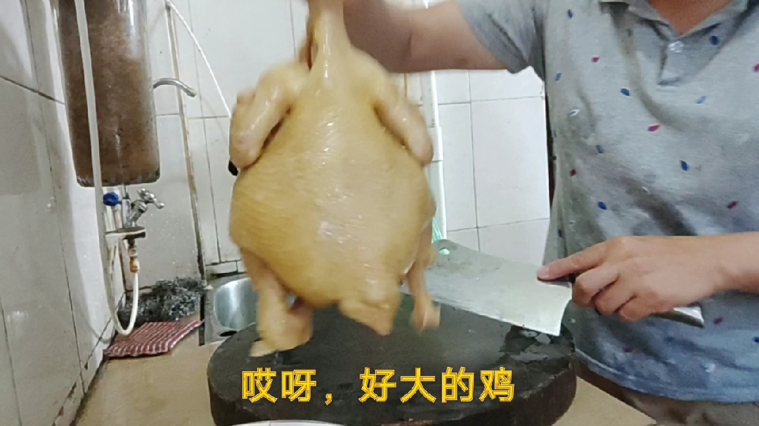 湛江白切鸡怎么那么受欢迎,看看这大阉鸡就知道了