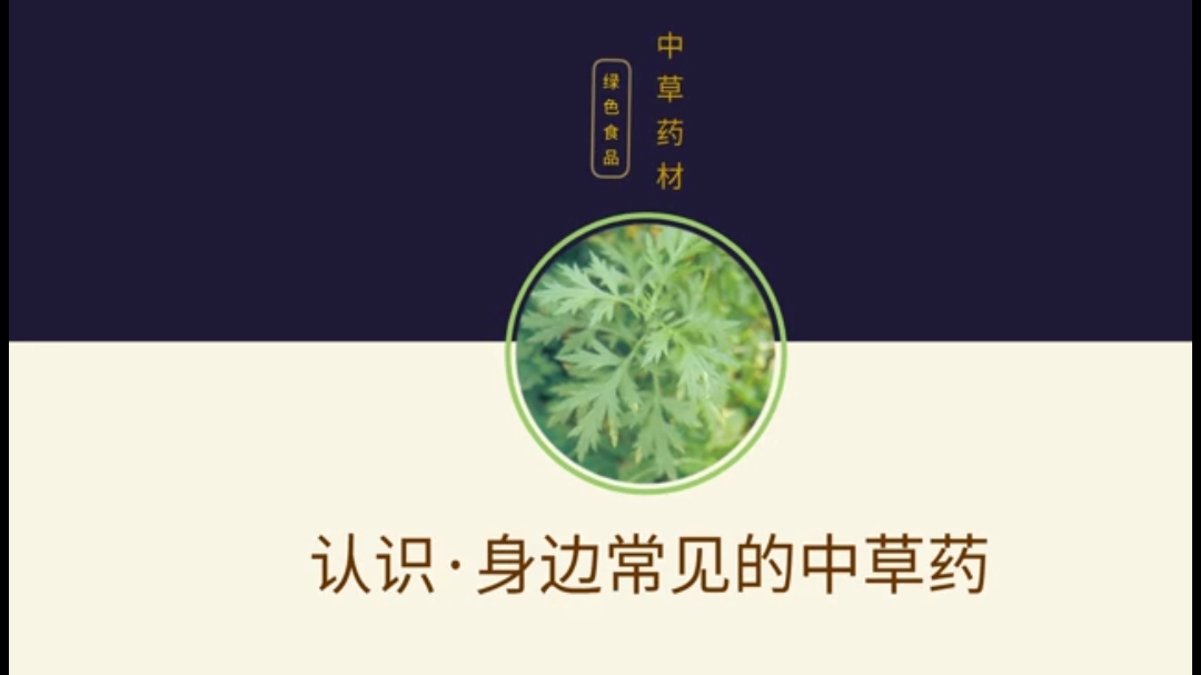 [图]认识身边常见的中草药