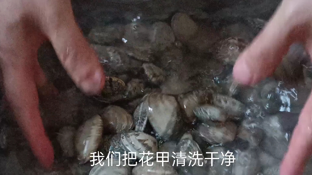 五斤大花甲,大师傅教你怎么炒出一盘汁鲜肉嫩非常好吃的爆炒花甲