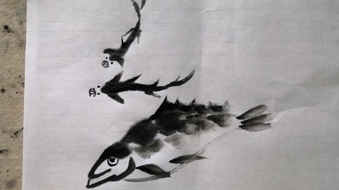 国画: 临摹齐白石的鱼乐图,最上面的鱼感觉好像猪头,有趣哈哈