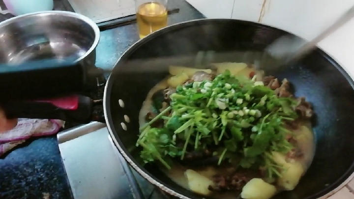 媳妇用农村带来的土鸡做土豆烧鸡和蕨菜,卖相一般味道却很巴适