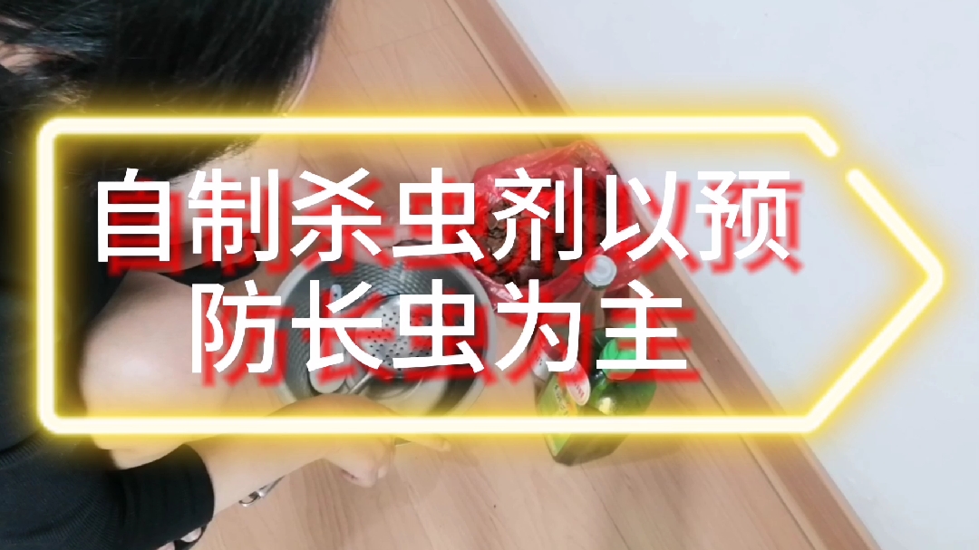 年年菜菜不长虫原来是用了自制杀虫剂来预防,赶快行动起来