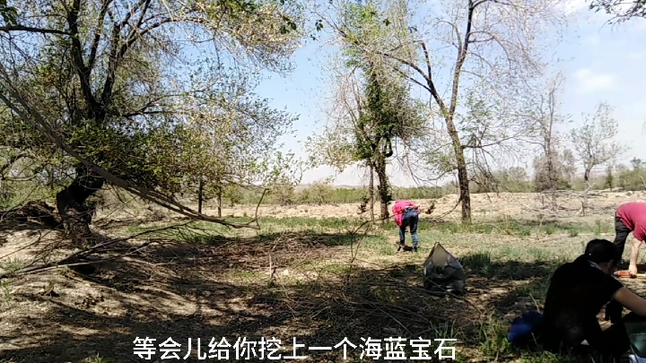 乌鲁木齐百泉沟,爬山踏青挖野菜,野餐时阴风袭来还好手机没事。